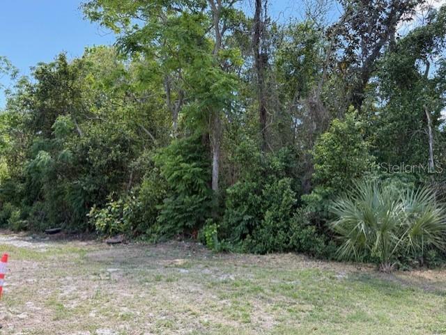 Listing Details for 919 Trafalgar Street, DELTONA, FL 32725
