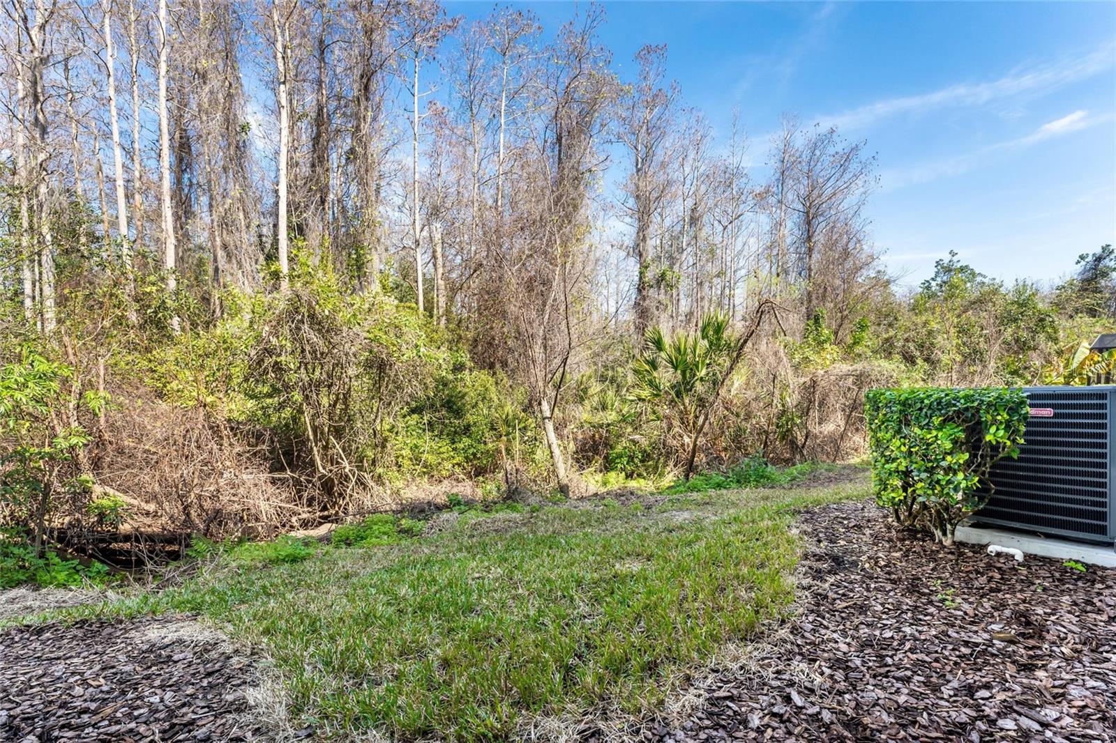 Image 25 of 25 For 6003 Apollos Corner Way