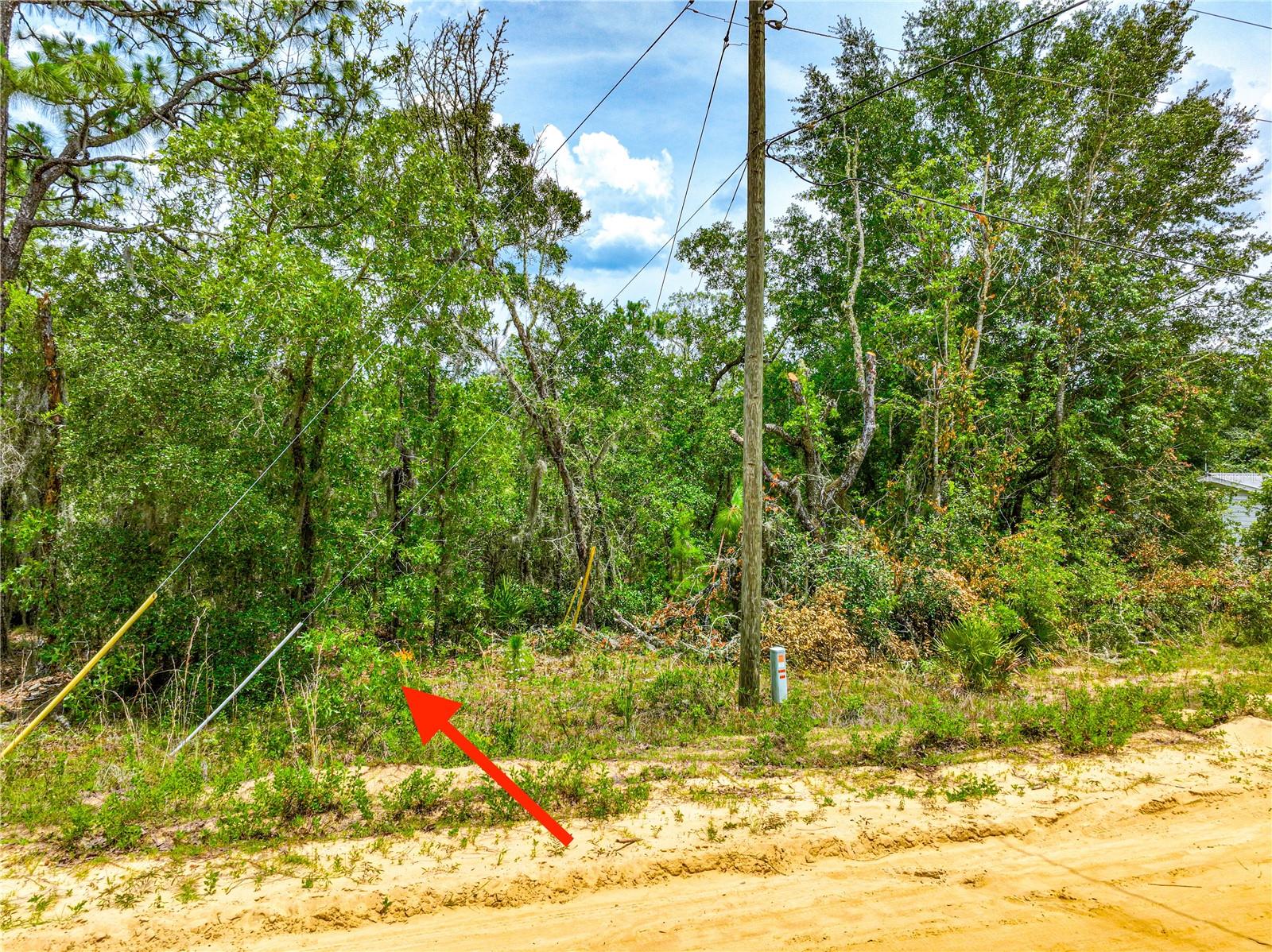 Image 5 of 16 For 128 Carmichael Road