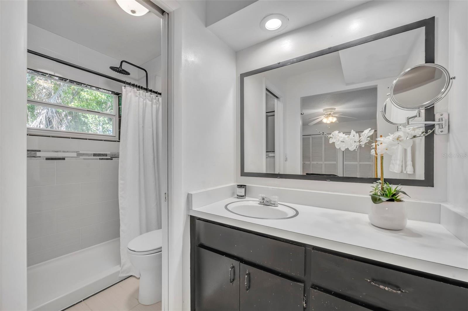 Image 12 of 23 For 11 Plumosa Avenue