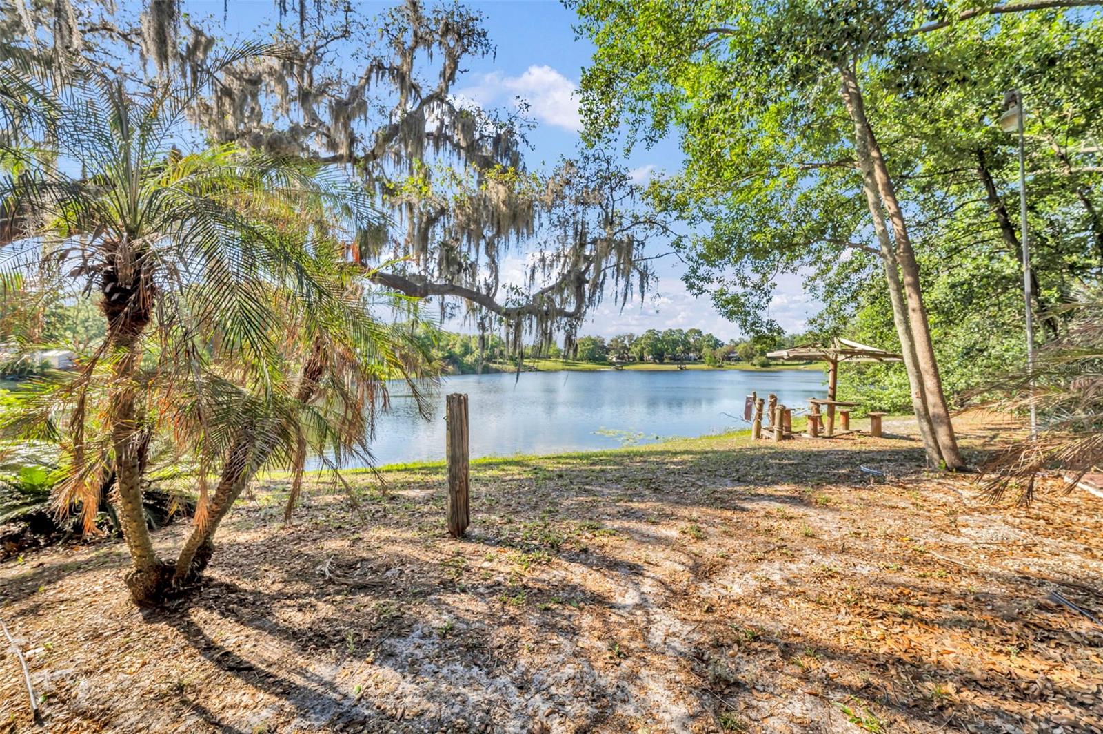 Image 3 of 23 For 11 Plumosa Avenue