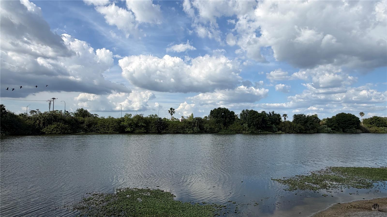 Image 27 of 27 For 758 Burlwood Street