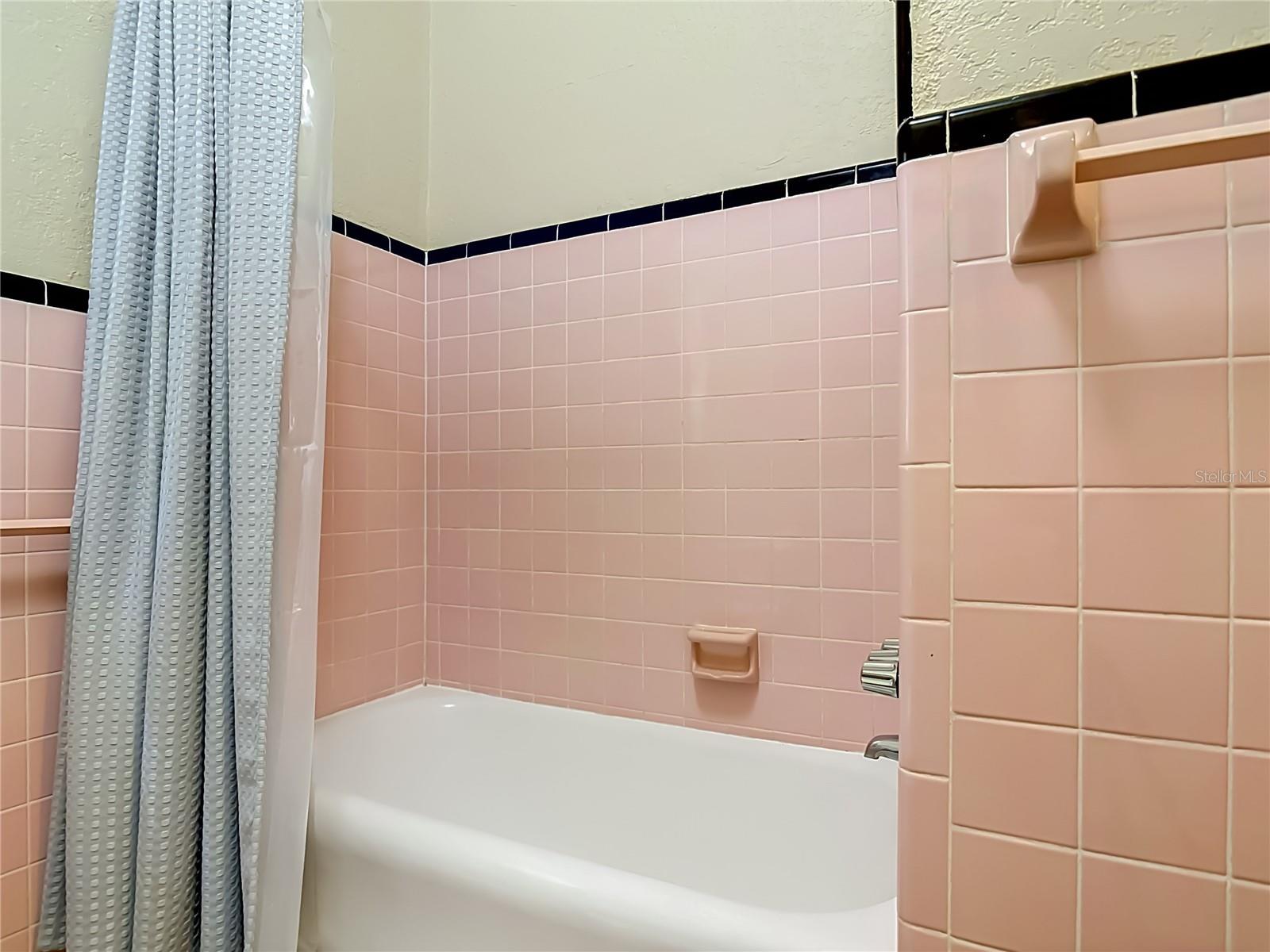 Image 17 of 54 For 224 Salisbury Avenue