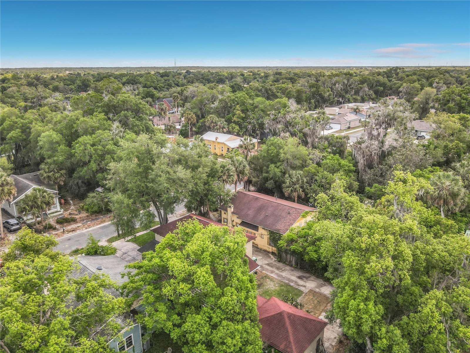 Image 49 of 54 For 224 Salisbury Avenue