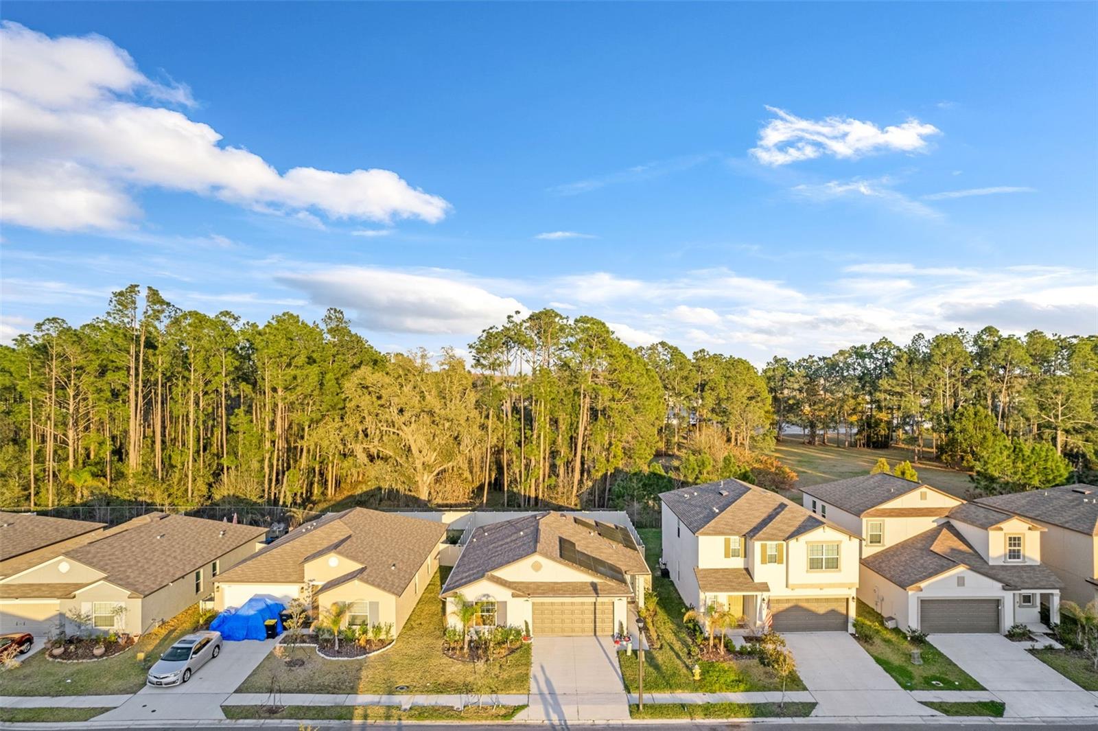 Image 38 of 39 For 1839 Yellow Trail