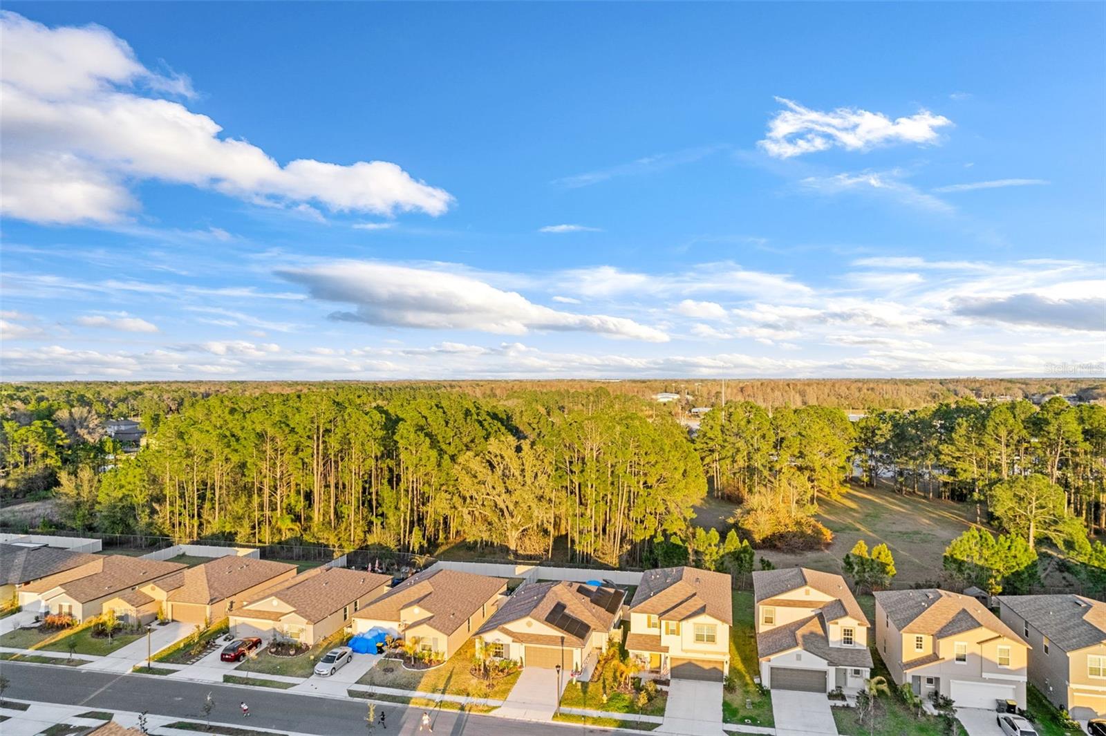 Image 39 of 39 For 1839 Yellow Trail