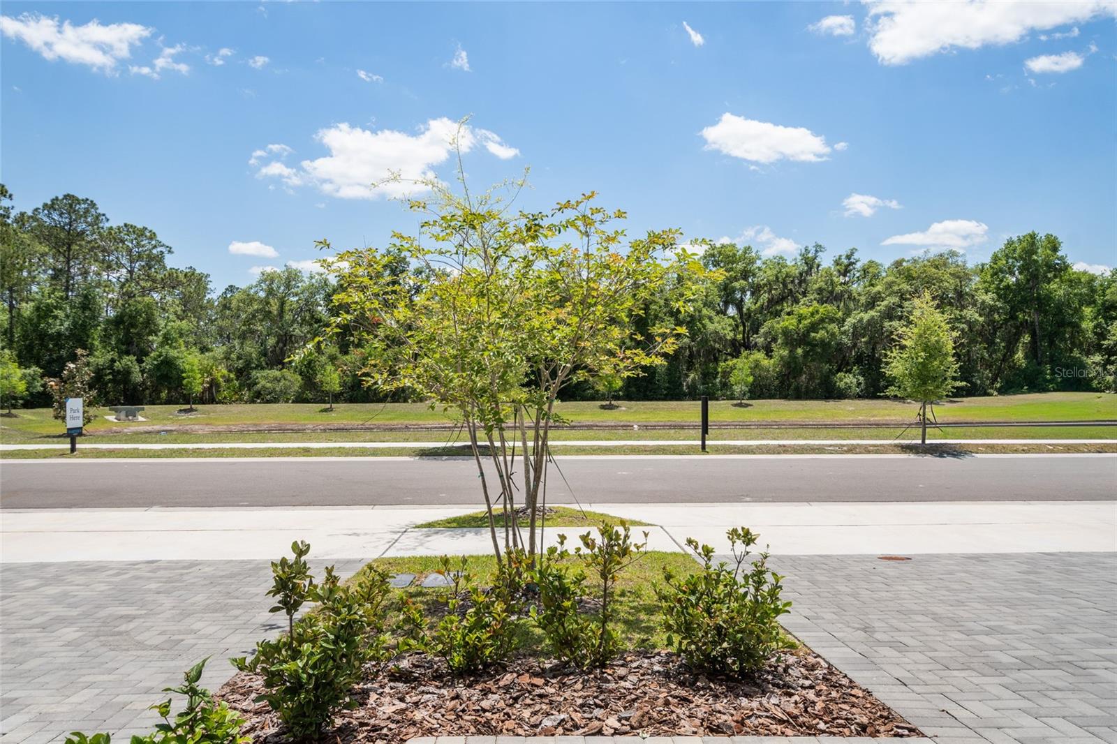 Image 48 of 50 For 5273 Luisa Court