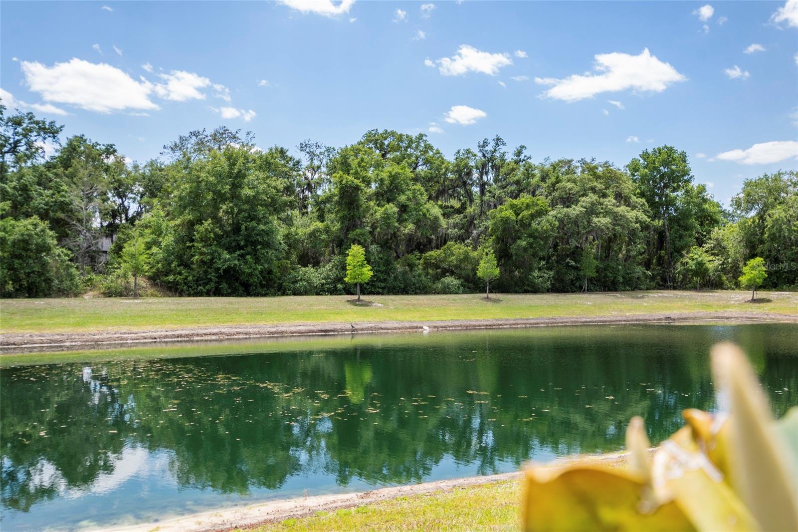 Image 49 of 50 For 5273 Luisa Court