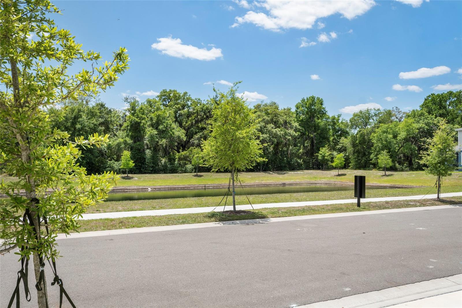 Image 50 of 50 For 5273 Luisa Court