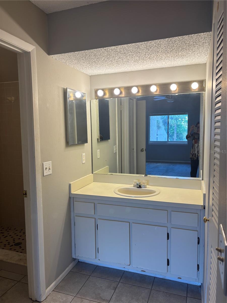 Image 16 of 28 For 2524 Lakeway Branch Drive 3208