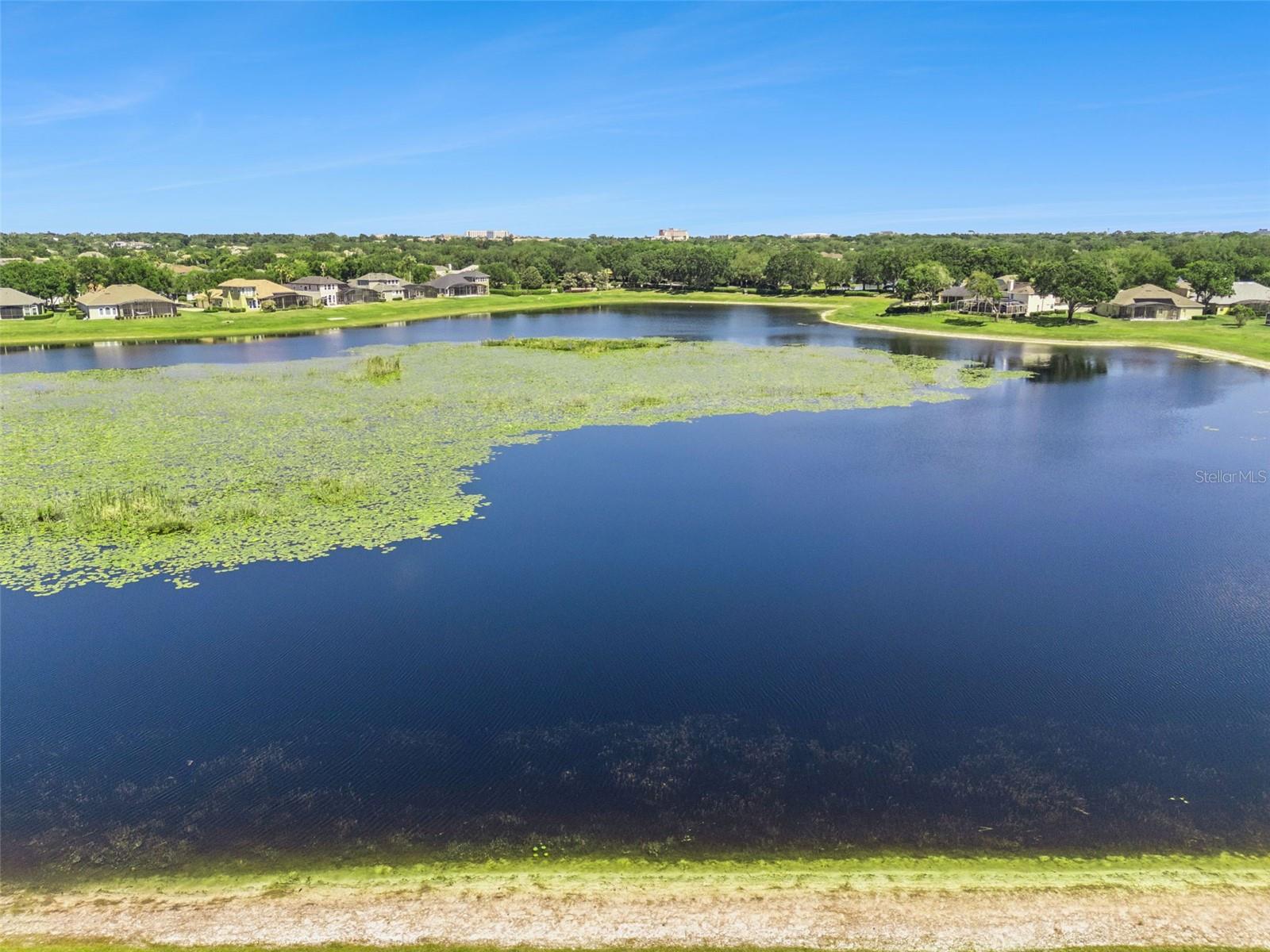 Image 51 of 62 For 1584 Cherry Ridge Drive