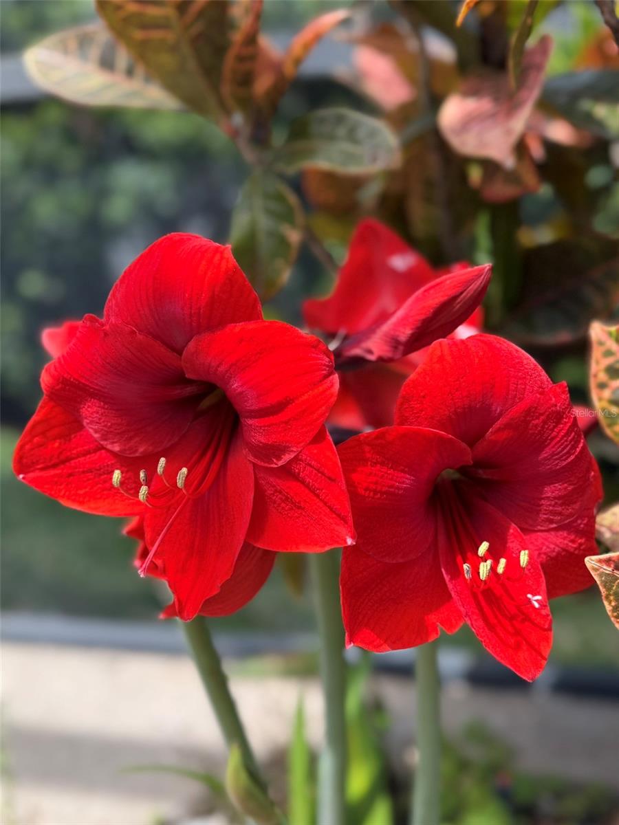 Image 55 of 62 For 1584 Cherry Ridge Drive