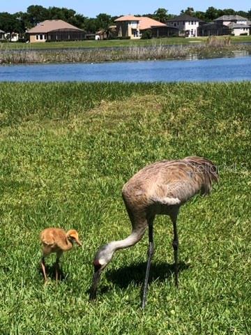 Image 56 of 62 For 1584 Cherry Ridge Drive