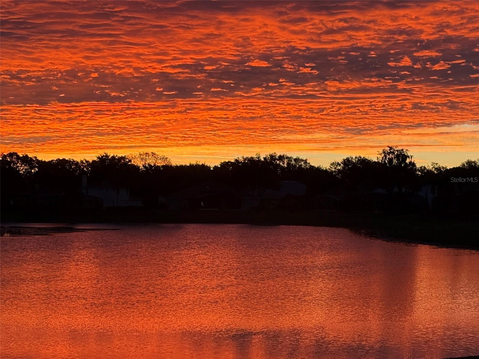 Image 60 of 62 For 1584 Cherry Ridge Drive