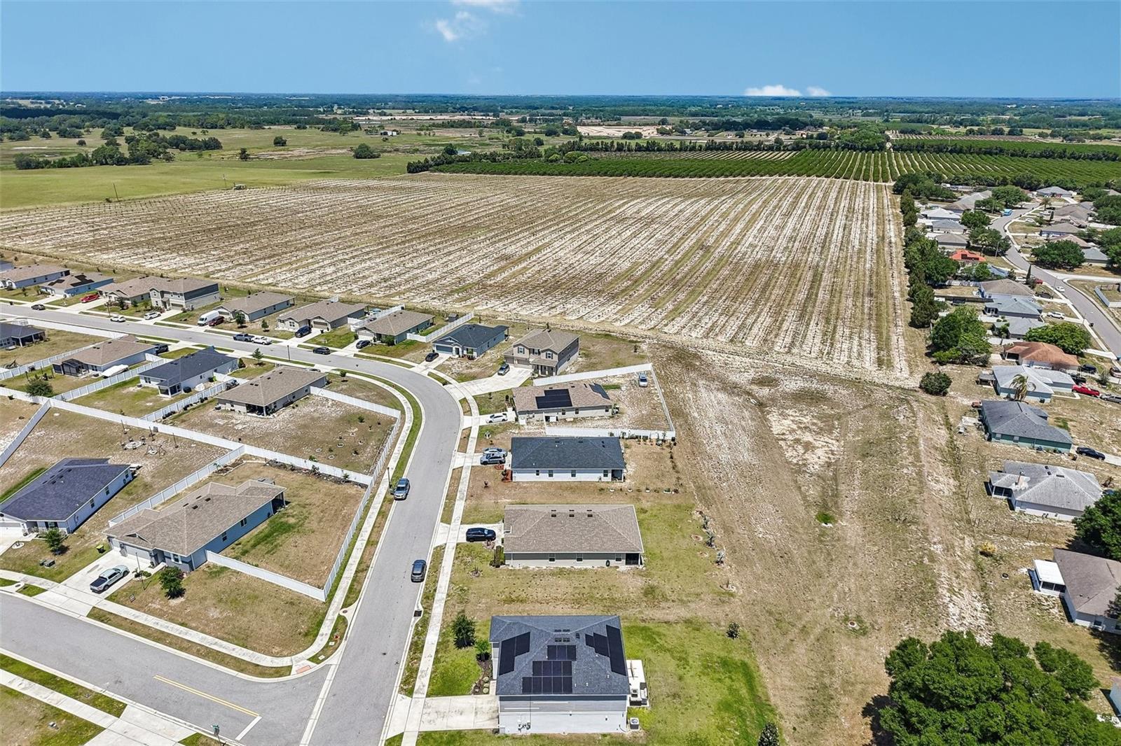 Image 21 of 27 For 2082 Ficus Street