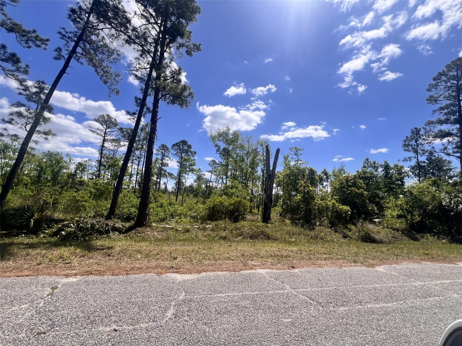 Details for Banyan Street Unit No. 1, EUSTIS, FL 32736