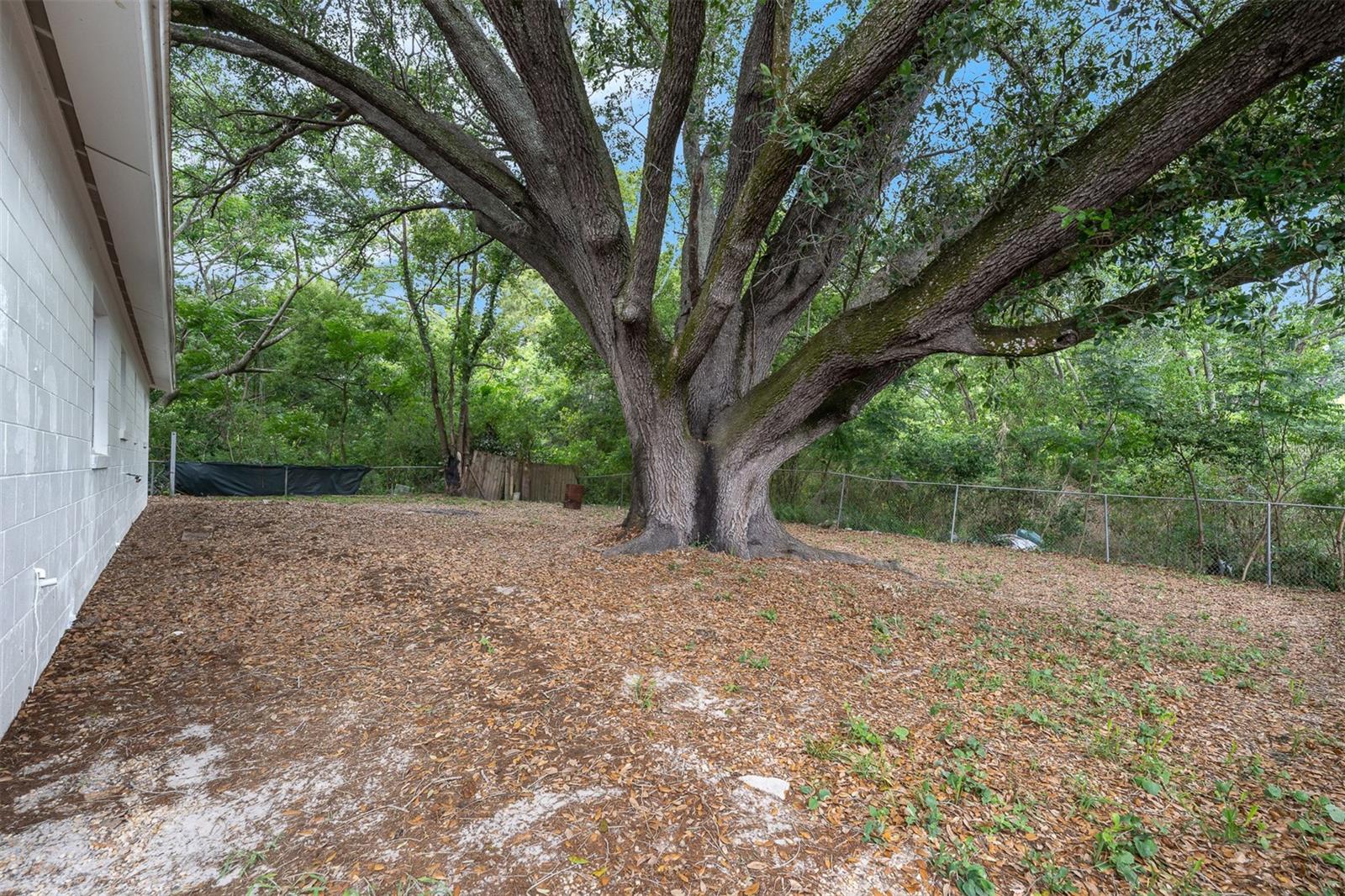 Image 19 of 30 For 7933 Arabian Place