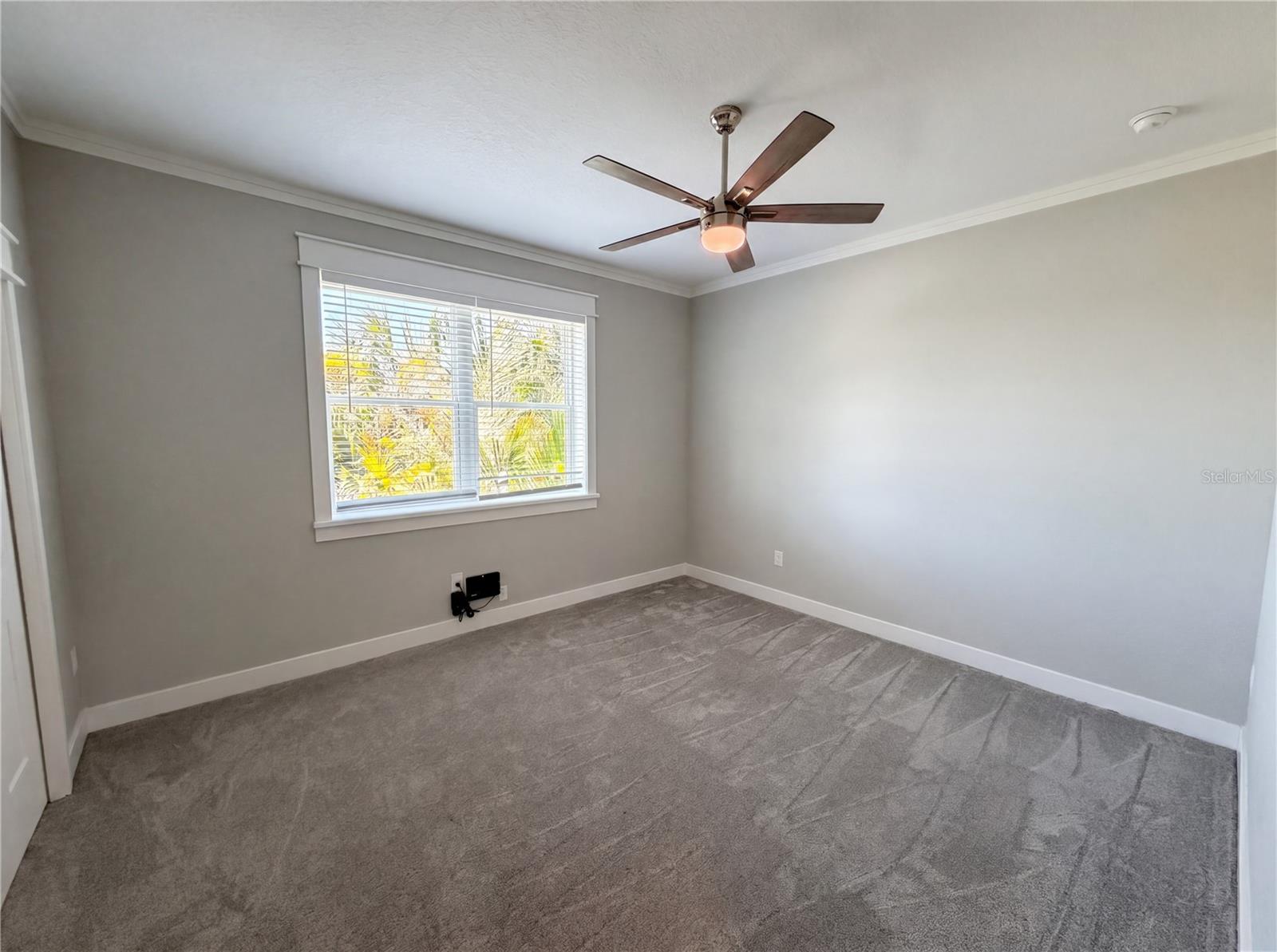 Image 23 of 59 For 83 Palm Boulevard