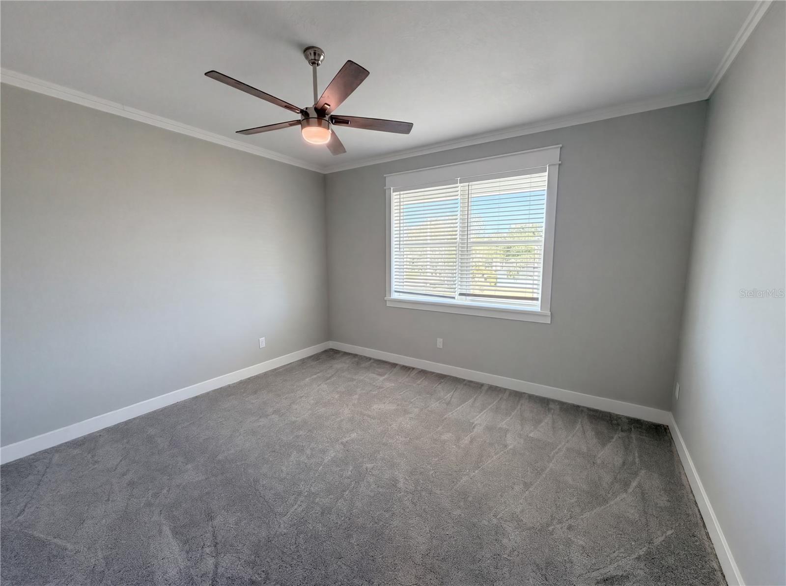 Image 25 of 59 For 83 Palm Boulevard