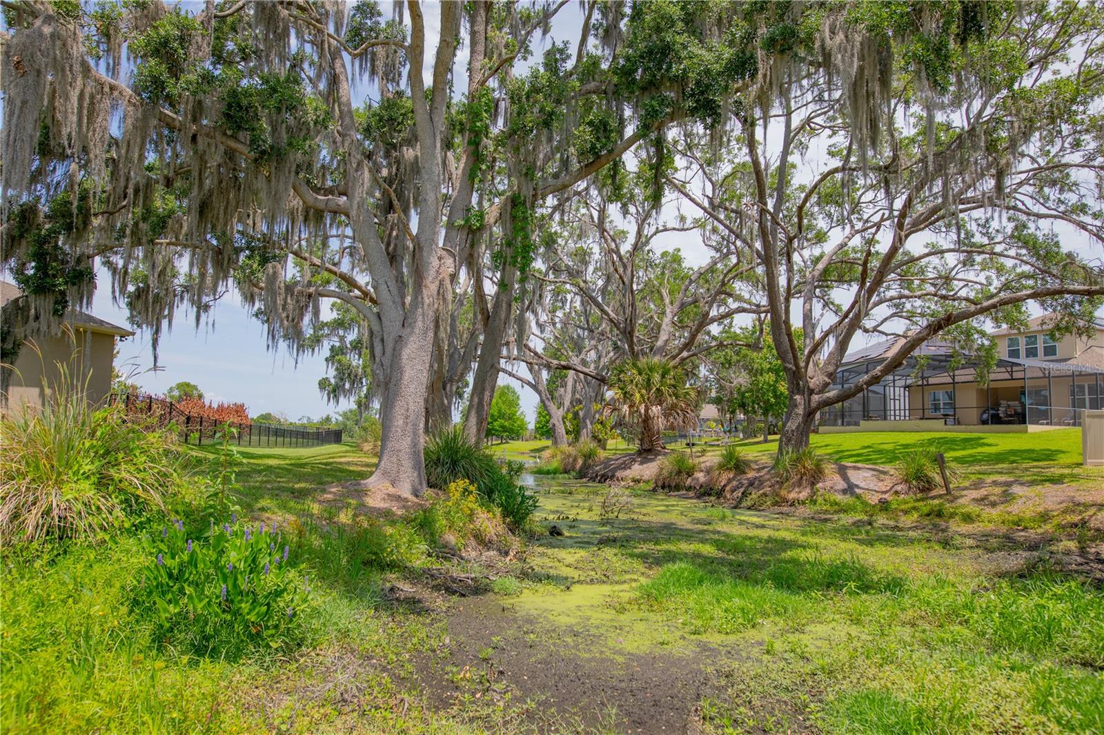 Image 12 of 65 For 15665 Citrus Harvest Road