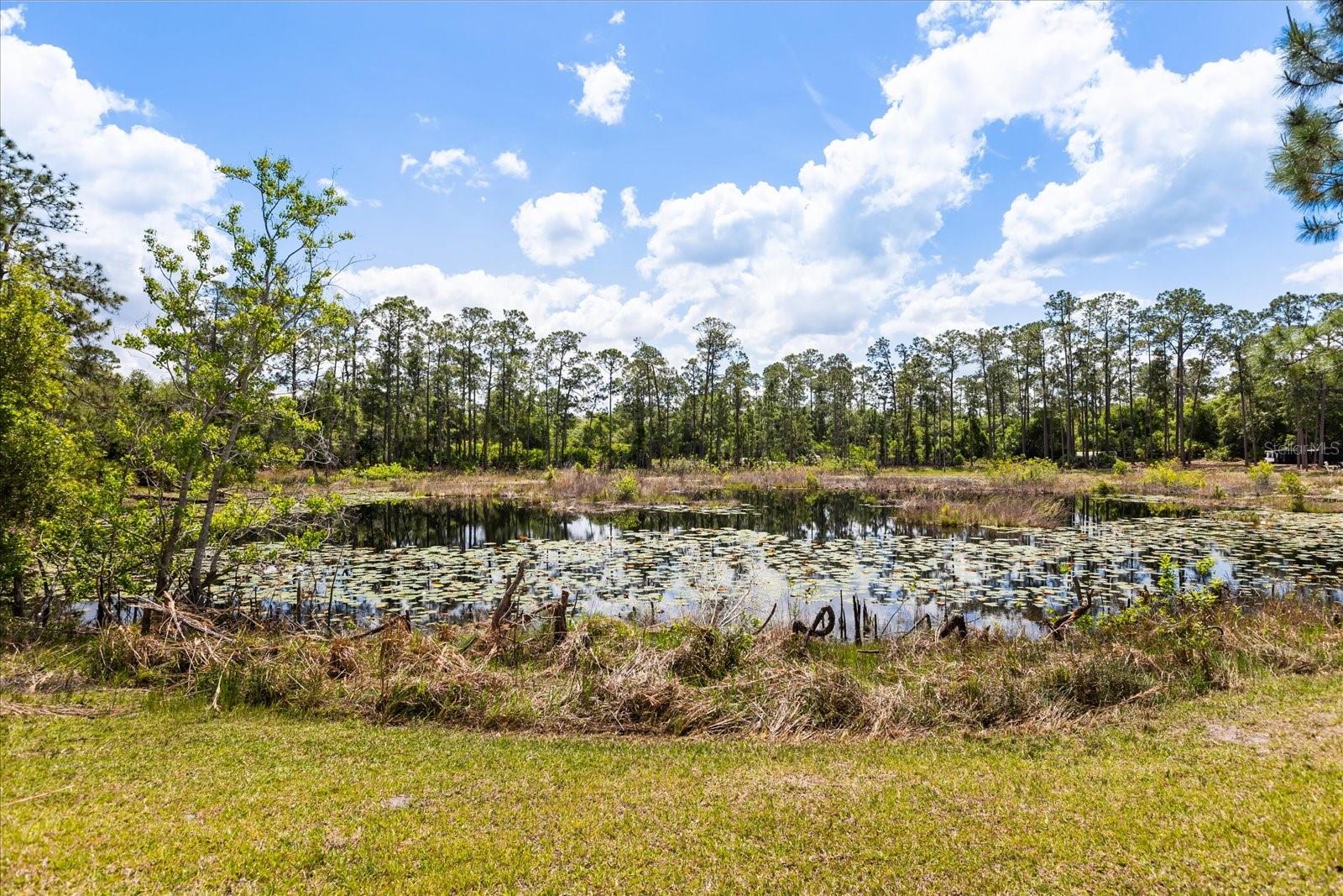 Image 50 of 52 For 420 Valley Stream Drive