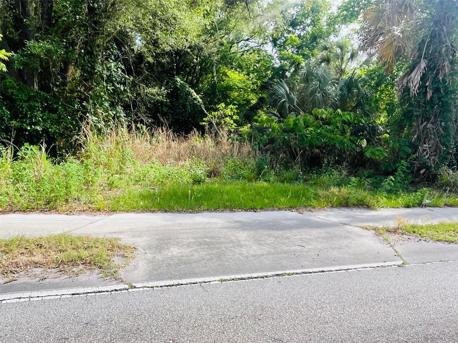 Image 2 of 4 For Tbd Celery Avenue