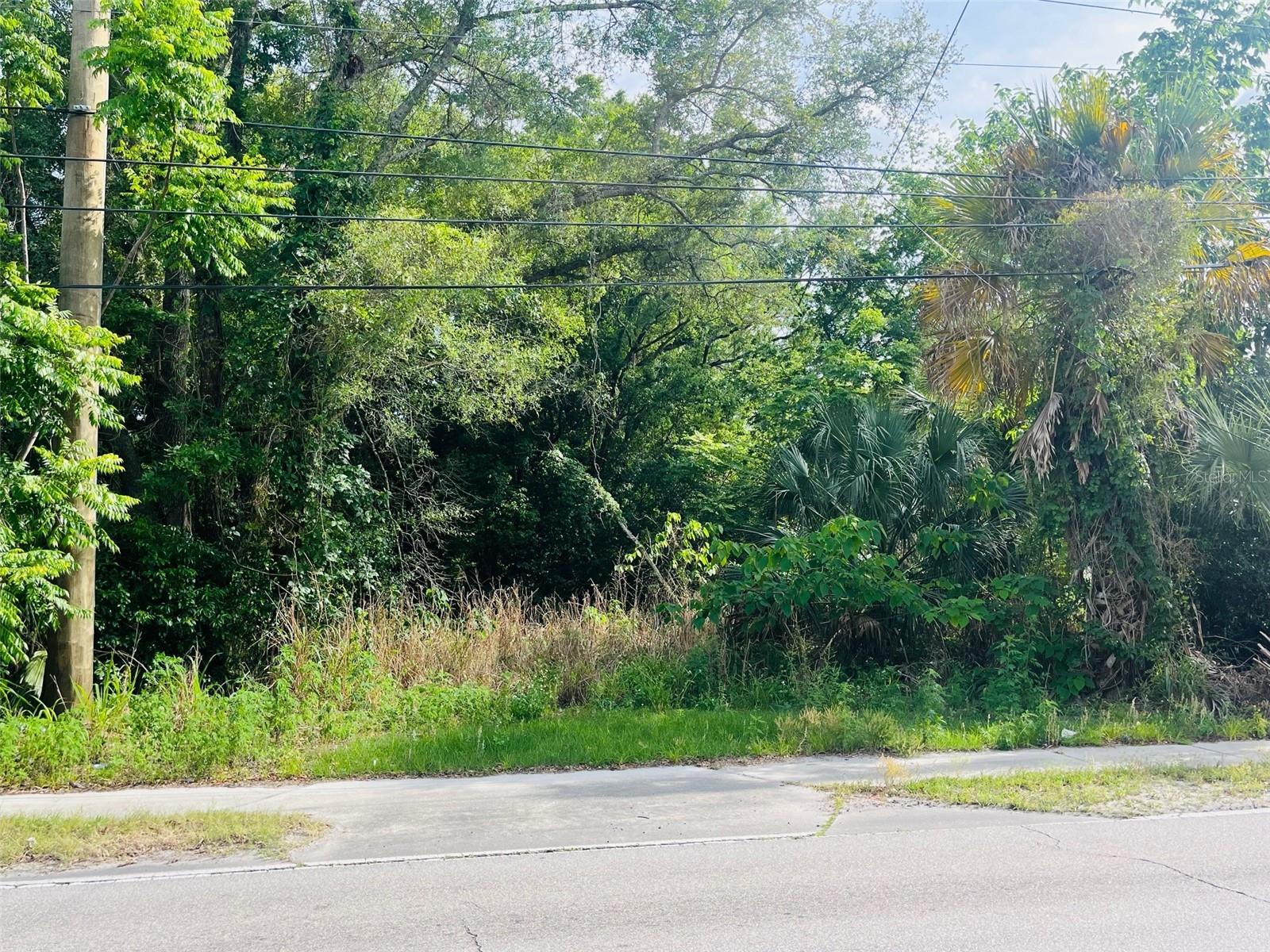 Image 4 of 4 For Tbd Celery Avenue