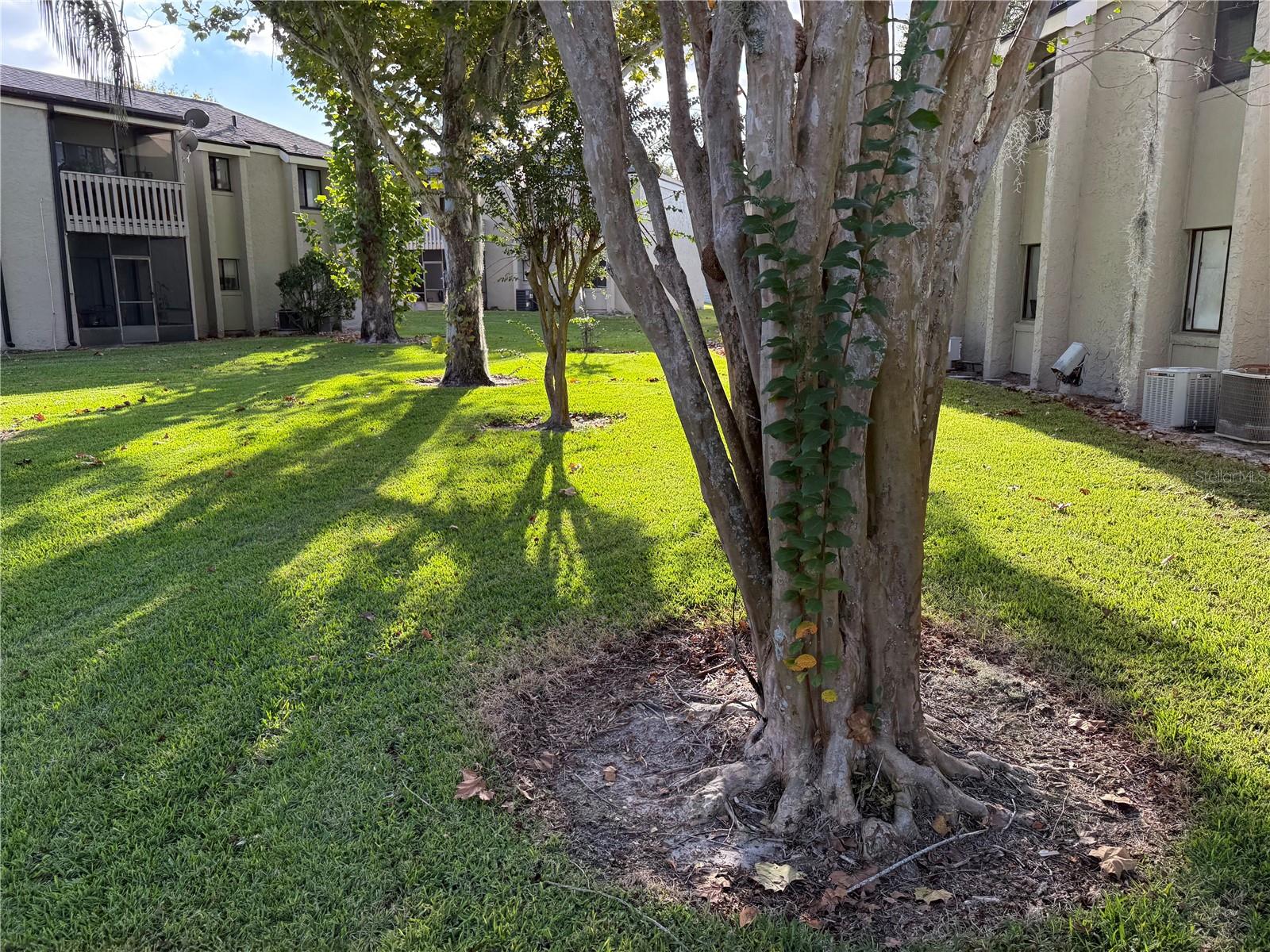 Image 4 of 25 For 135 Springwood Circle E