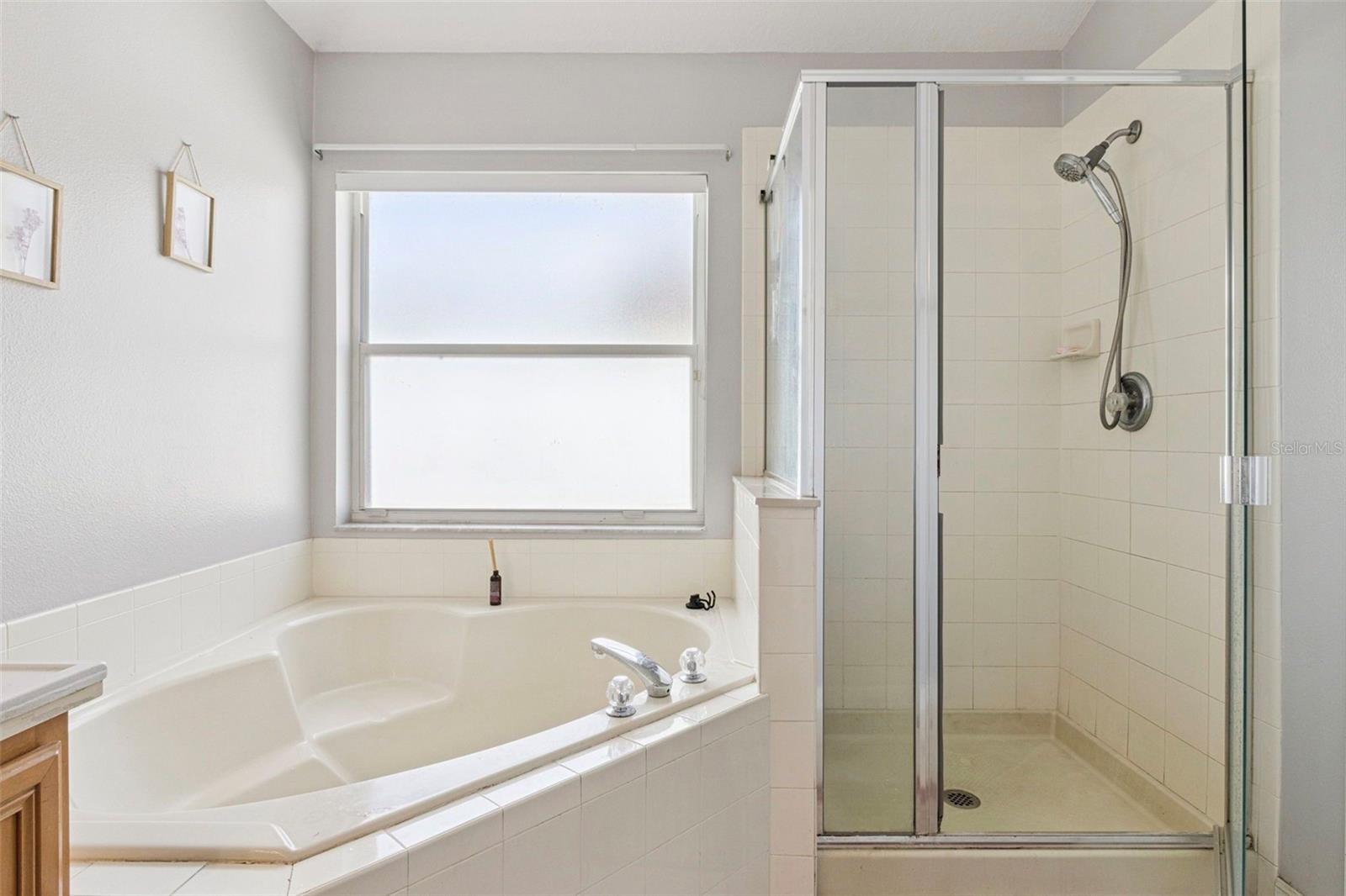 Image 15 of 31 For 3195 Whooping Crane Run