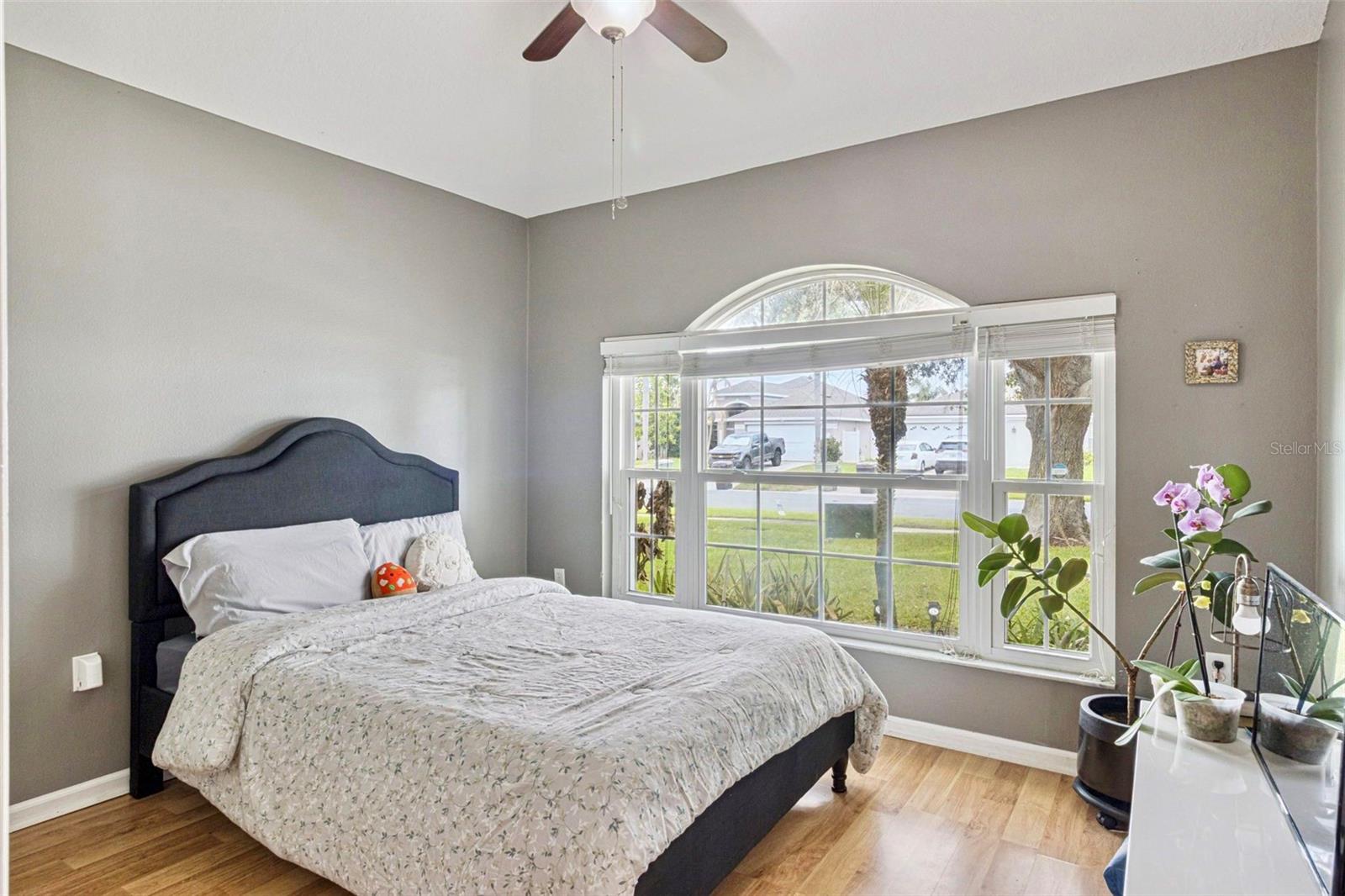 Image 19 of 31 For 3195 Whooping Crane Run