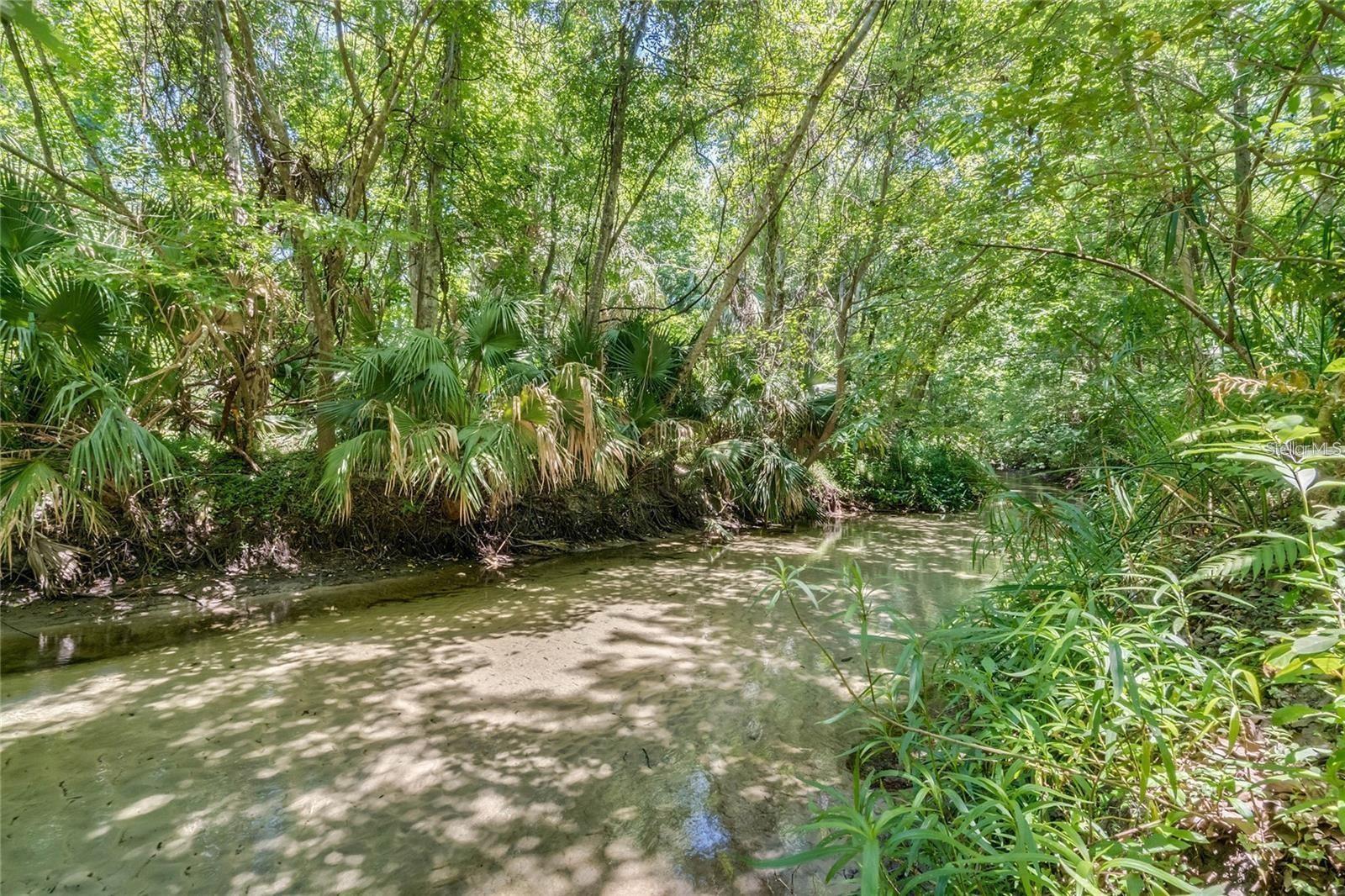 Listing photo id 71 for 105 Sweet Bay Lane