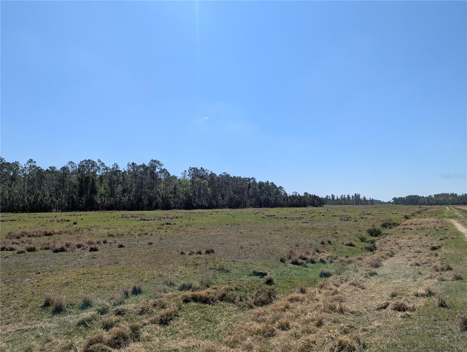 Image 5 of 5 For Deen Still Road E