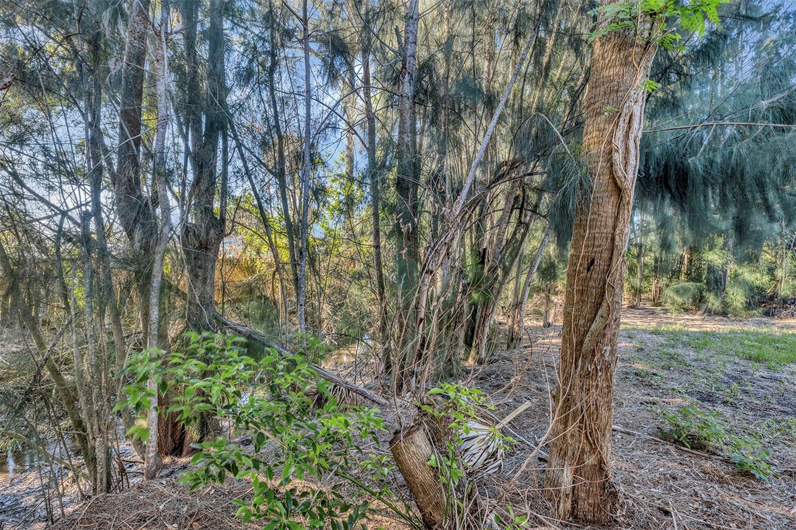 Image 36 of 37 For 1400 Conrad Drive