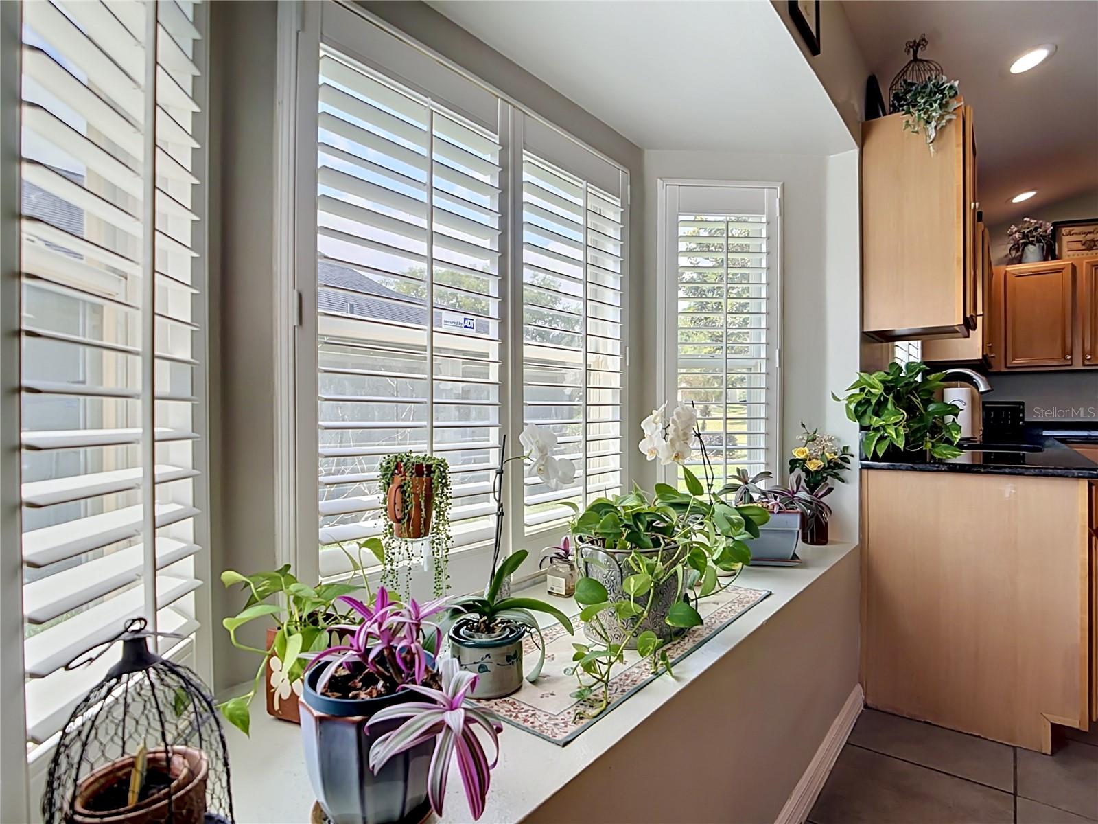 Image 11 of 62 For 13256 Whisper Bay Drive