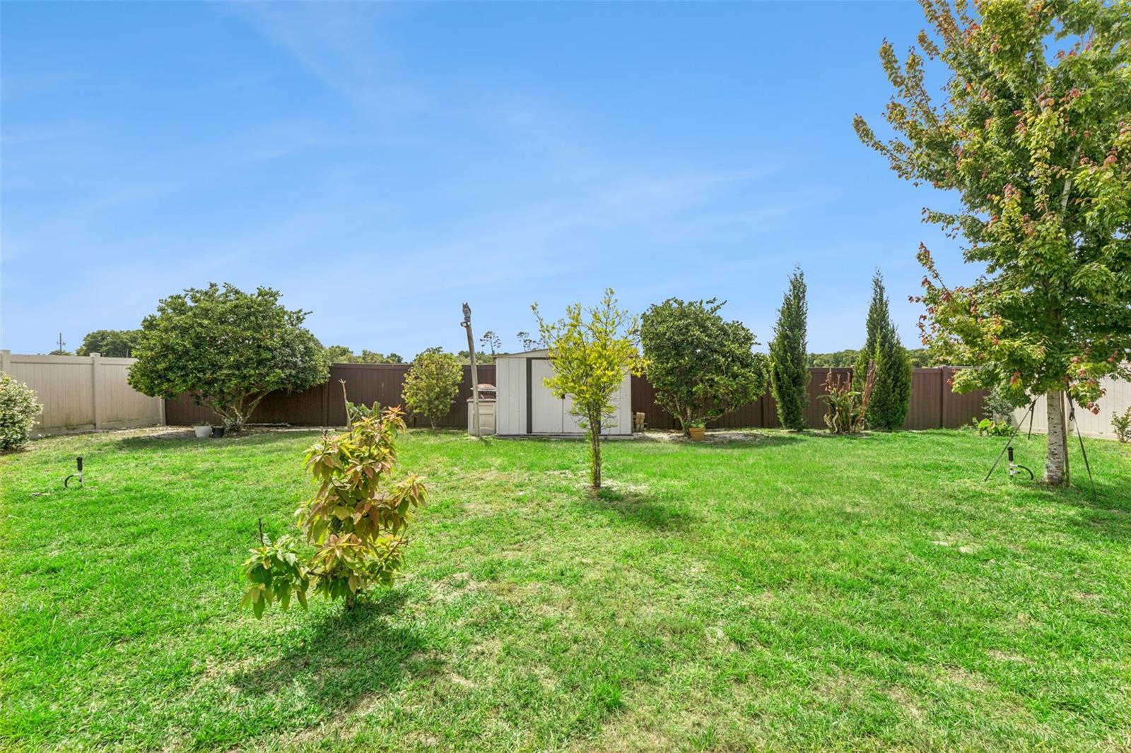 Image 29 of 49 For 484 Cavesson Street