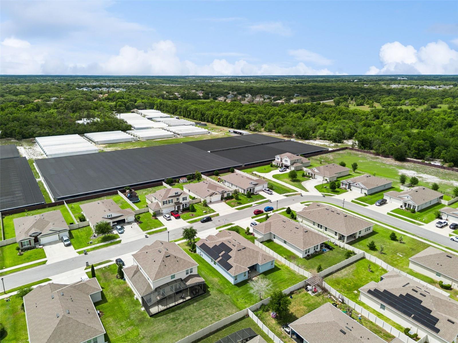 Image 38 of 49 For 484 Cavesson Street