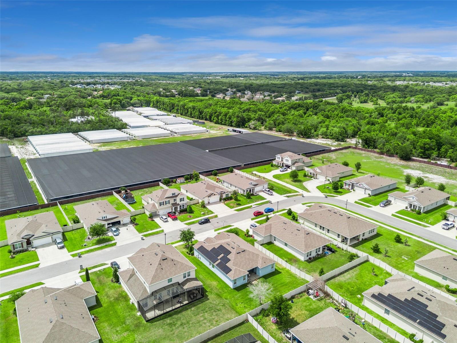 Image 45 of 49 For 484 Cavesson Street