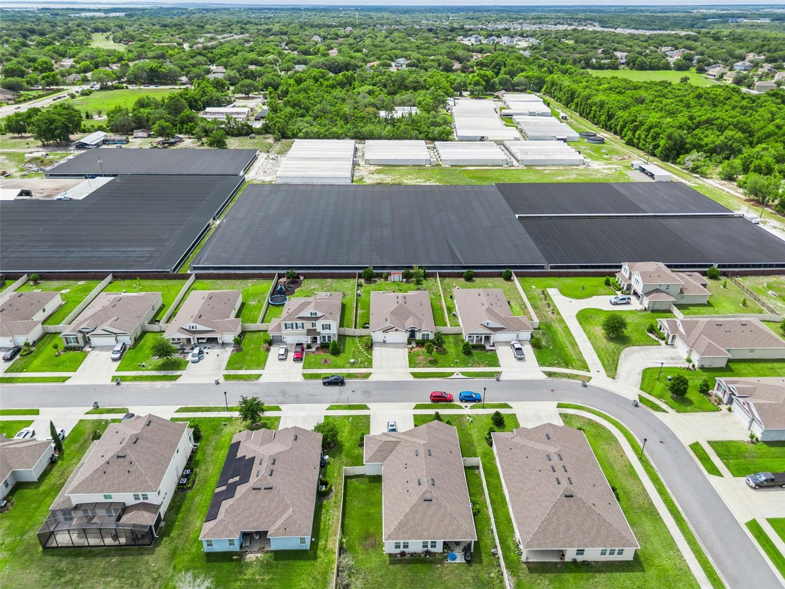 Image 47 of 49 For 484 Cavesson Street