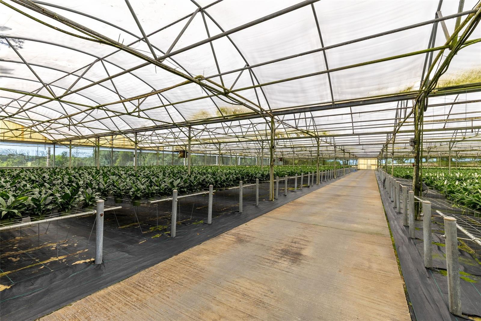 Image 21 of 35 For 18021 Apshawa Road