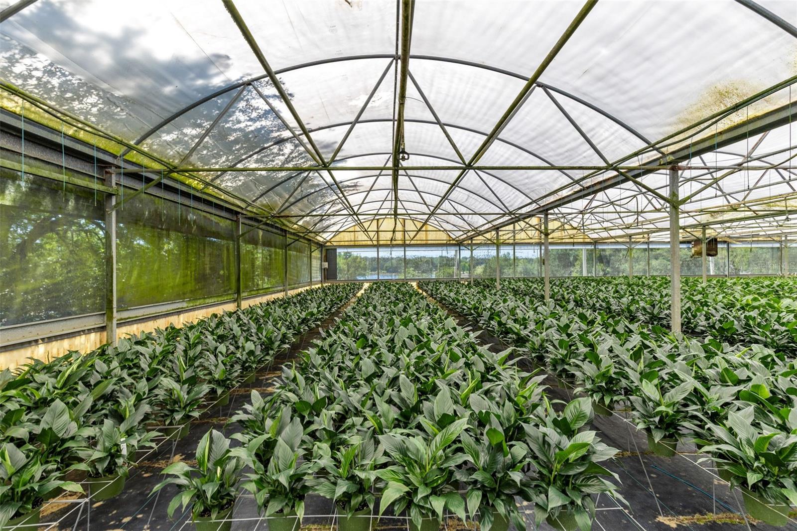 Image 22 of 35 For 18021 Apshawa Road