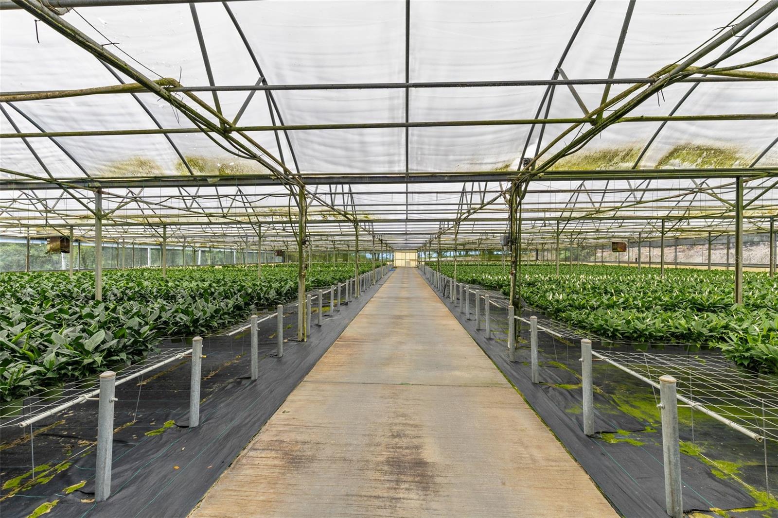 Image 23 of 35 For 18021 Apshawa Road