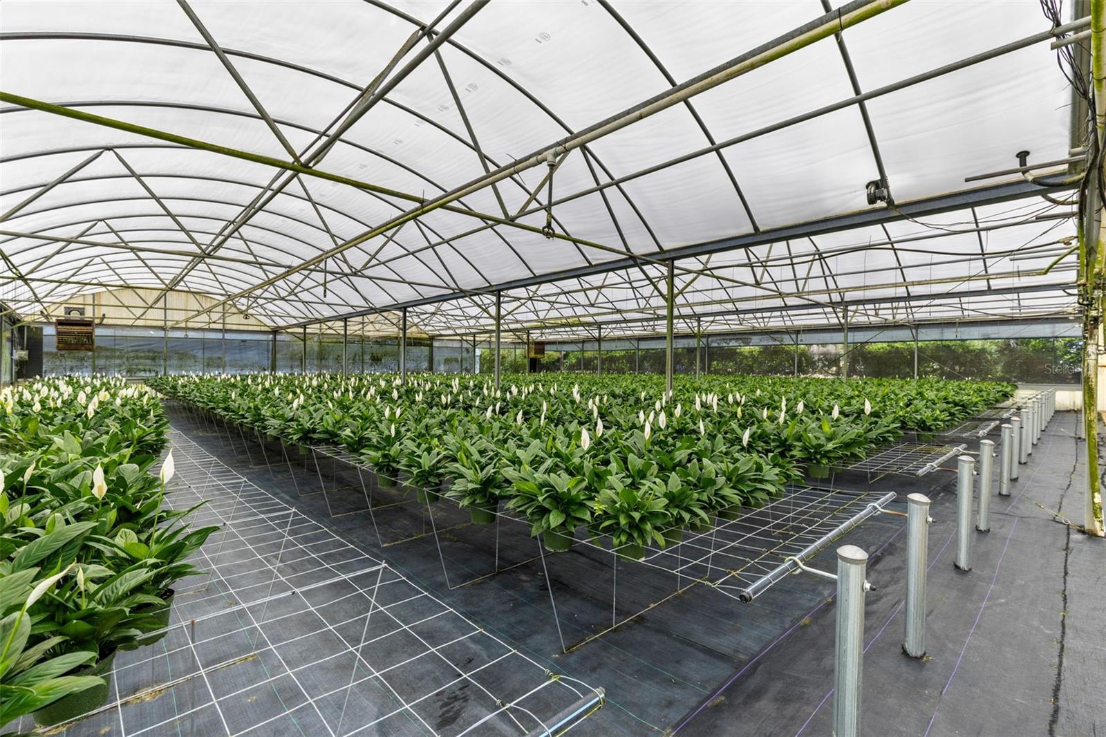 Image 3 of 35 For 18021 Apshawa Road