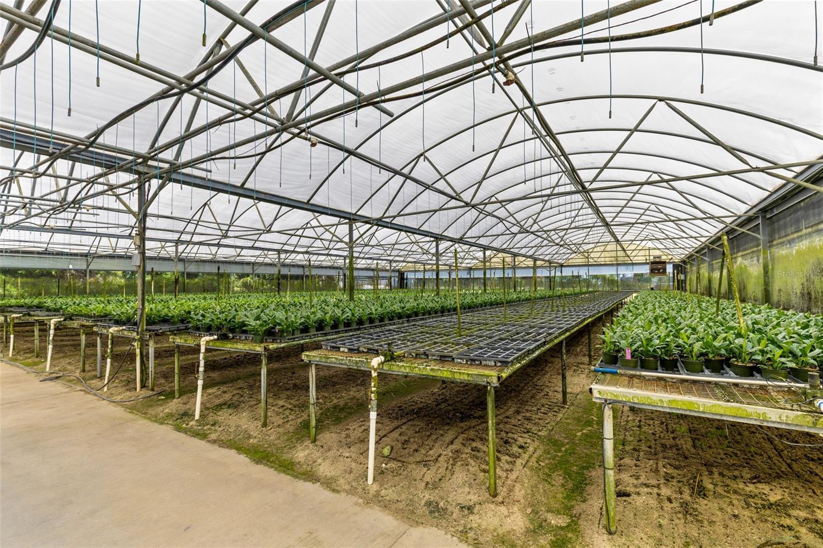 Image 4 of 35 For 18021 Apshawa Road