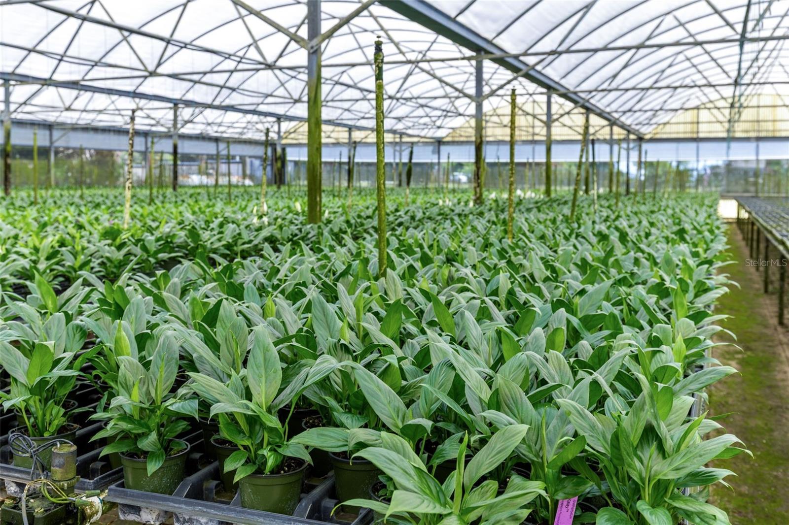 Image 5 of 35 For 18021 Apshawa Road