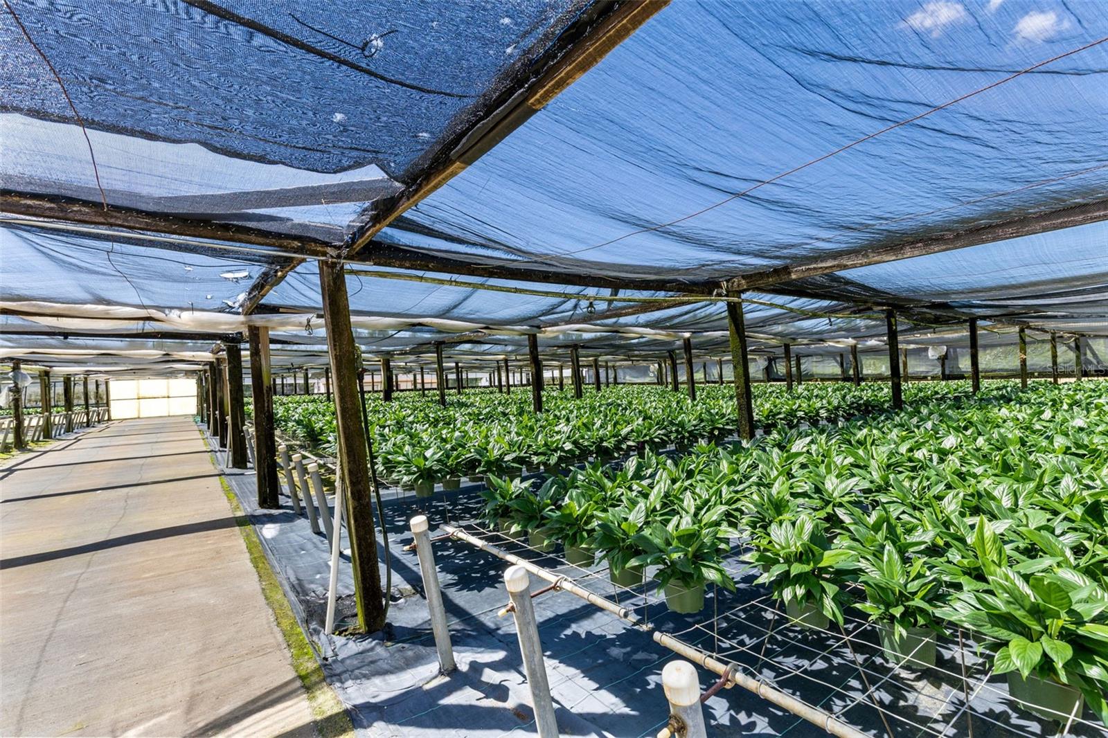 Image 6 of 35 For 18021 Apshawa Road