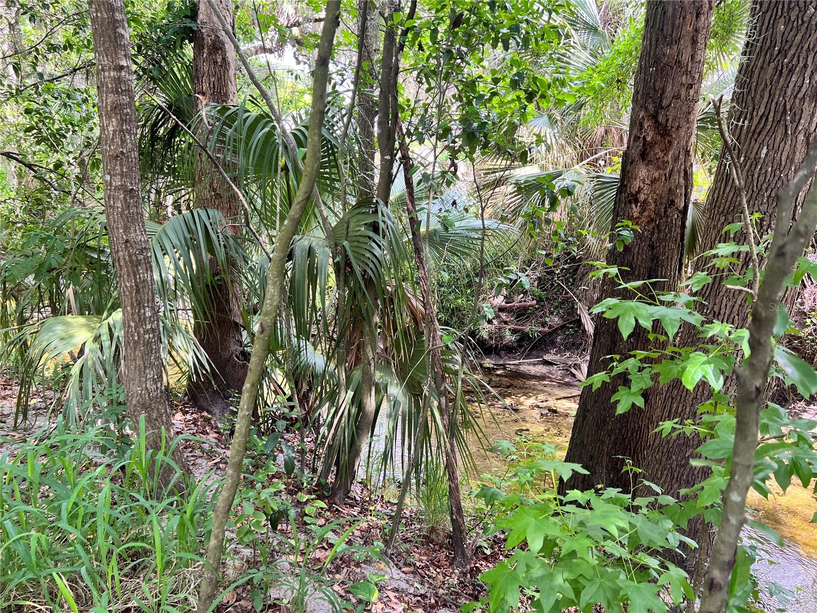 Image 32 of 51 For 652 Roaring Drive 230