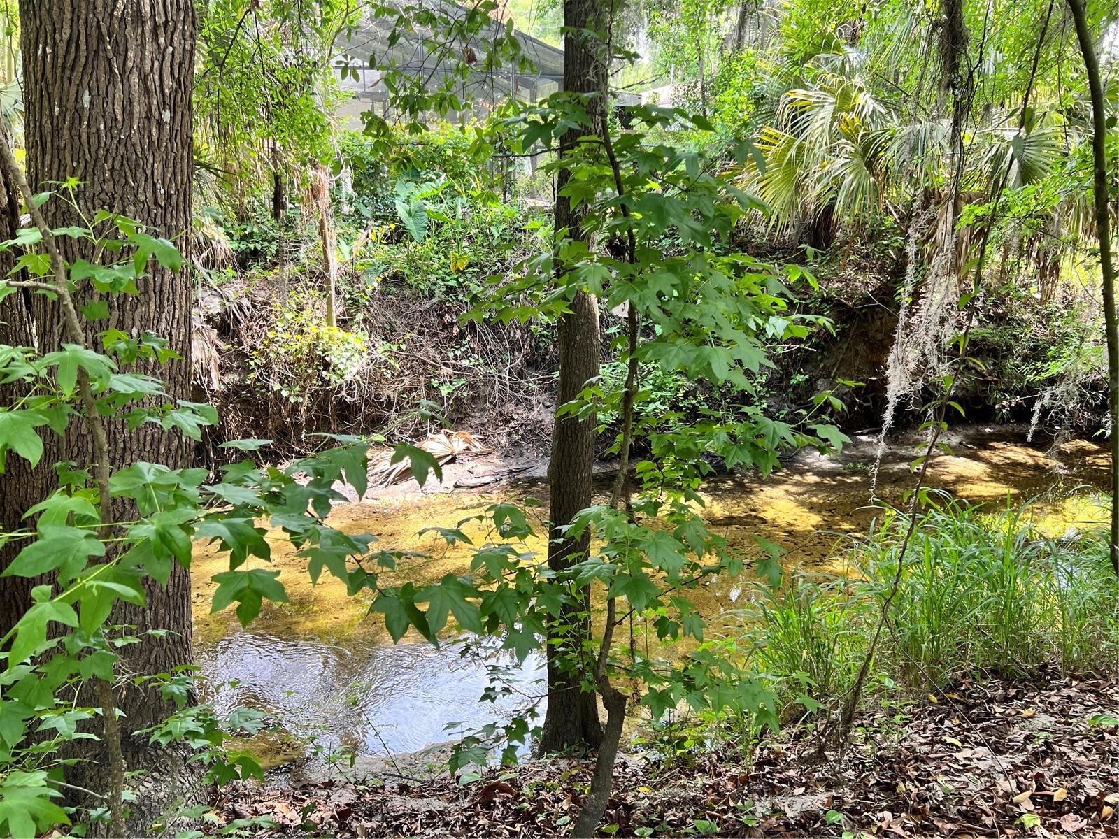 Image 33 of 51 For 652 Roaring Drive 230