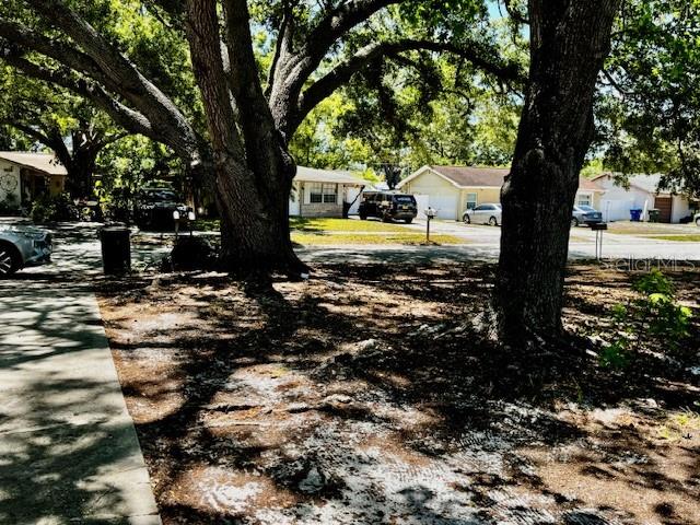 Image 6 of 20 For 3073 Pine Tree Avenue