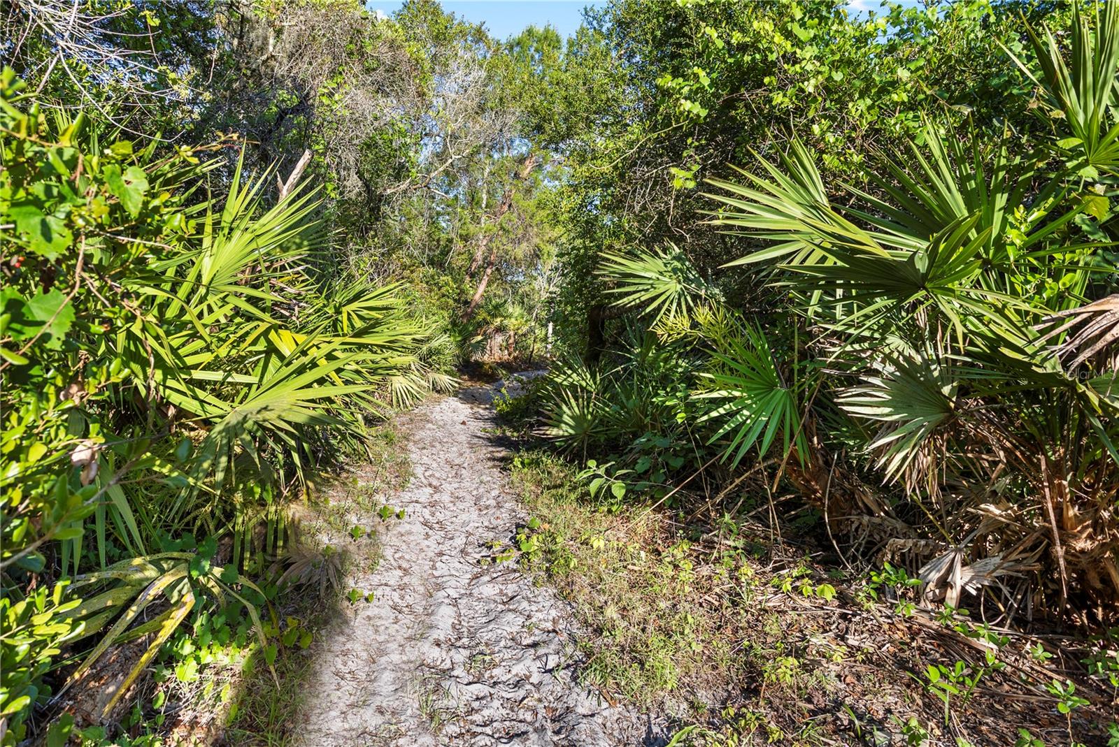 Image 41 of 51 For 1140 Gallant Fox Way