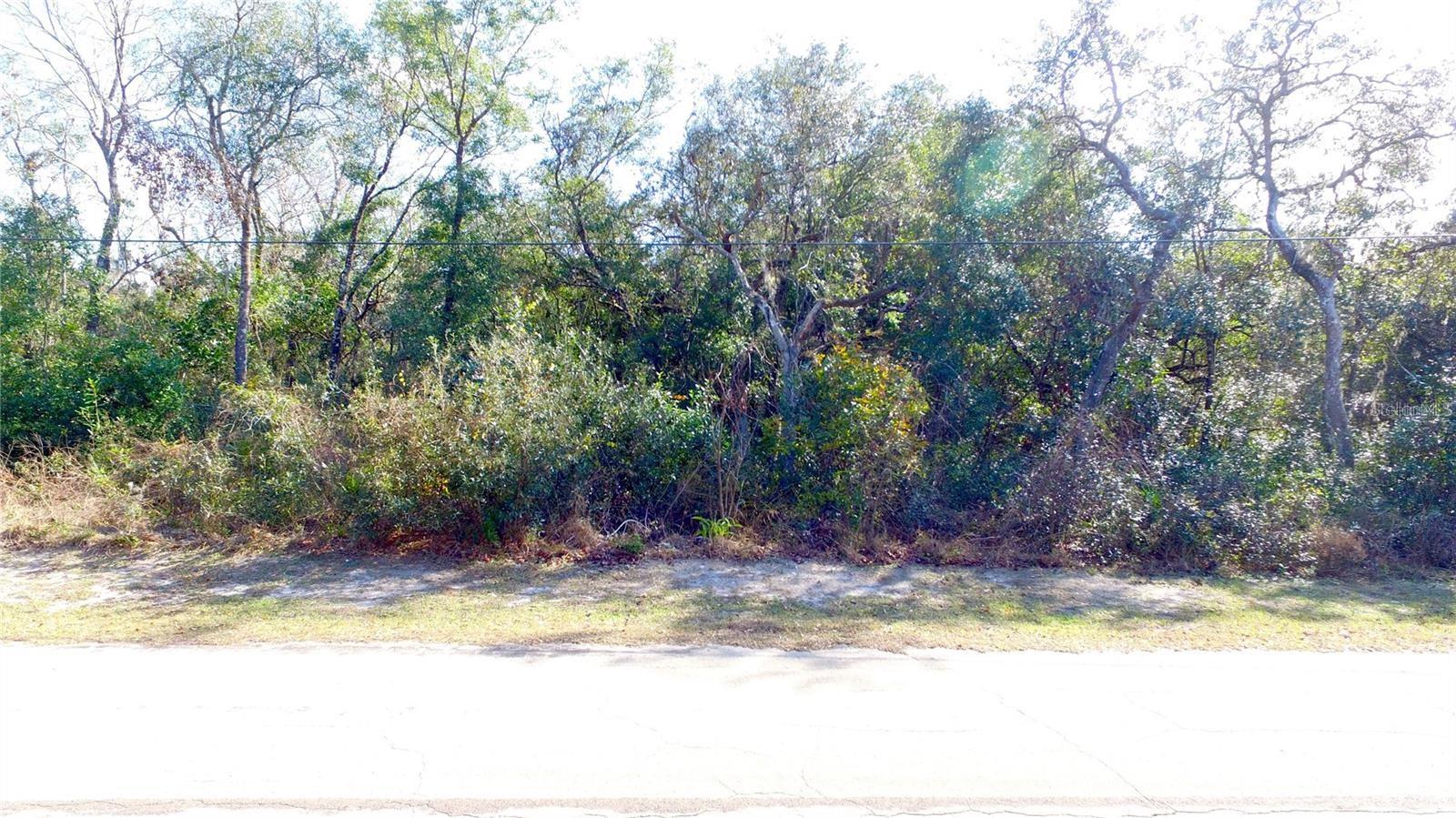 Image 7 of 7 For 11142 Sailfish Way